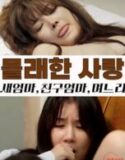 Secret Affairs Stepmother Friend’s (2025)