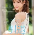 FINAL IMPRESSION (2025)