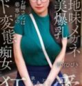 Dari Fantasi Ke Realita Incest Panas Hibiki Amemiya