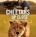Cheetahs Up Close with Bertie Gregory (2026)