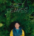Soft Leaves (2025)