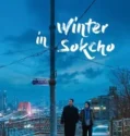 Winter in Sokcho (2025)