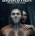 Disolution (2026)