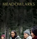 Meadowlarks (2025)