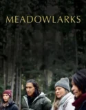 Meadowlarks (2025)