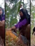 Bokep Mesum Bocil Jilbab Endingnya Maksa
