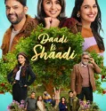 Daadi Ki Shaadi (2026)