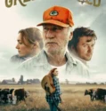 Green and Gold (2025)