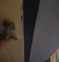 Nyelinap ke kamar adek