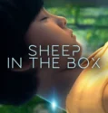 Sheep in the Box (2026)