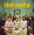 Habeebi (2026)