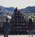 New Group (2026)